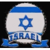ISRAEL FLAG EMBLEM PIN